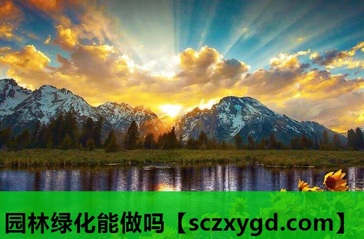 园林绿化能做吗