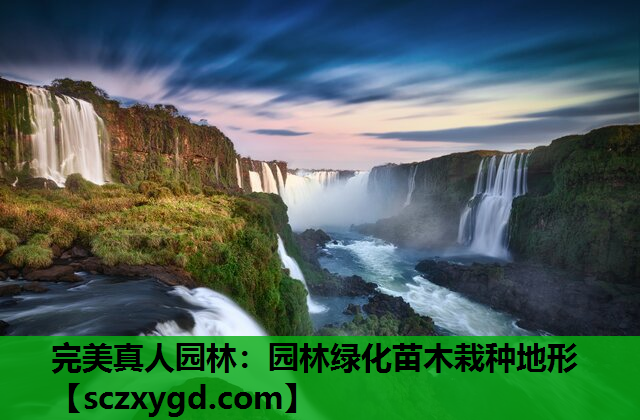 园林绿化苗木栽种地形