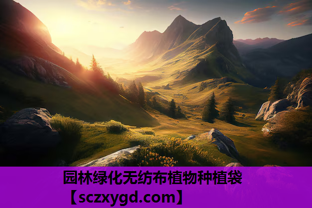 园林绿化无纺布植物种植袋