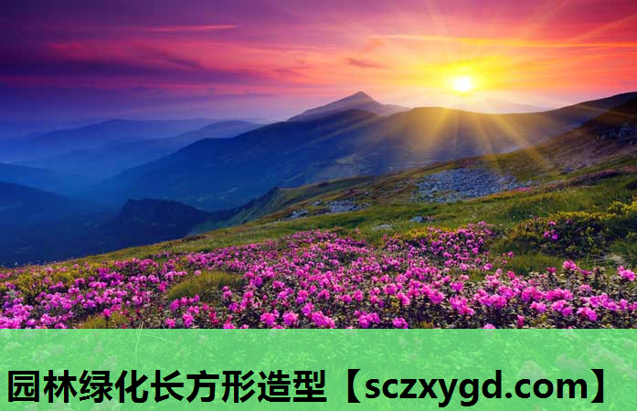 园林绿化长方形造型