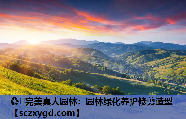 园林绿化养护修剪造型