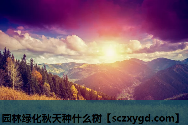 园林绿化秋天种什么树