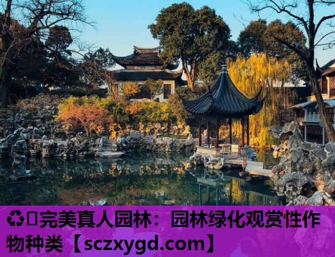 园林绿化观赏性作物种类