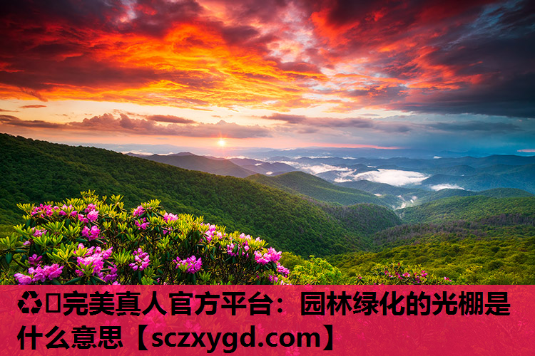 园林绿化的光棚是什么意思