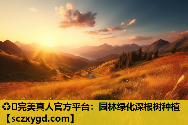 园林绿化深根树种植